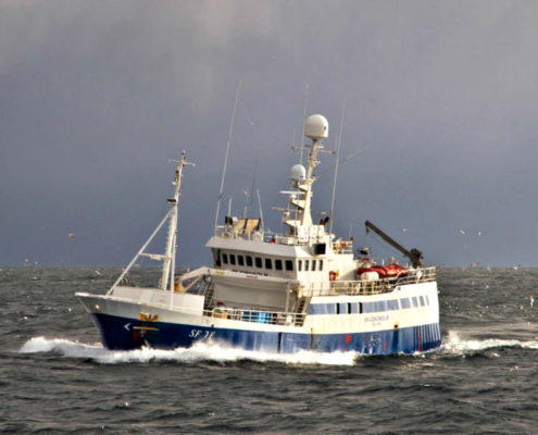 Skjongholm april 2012