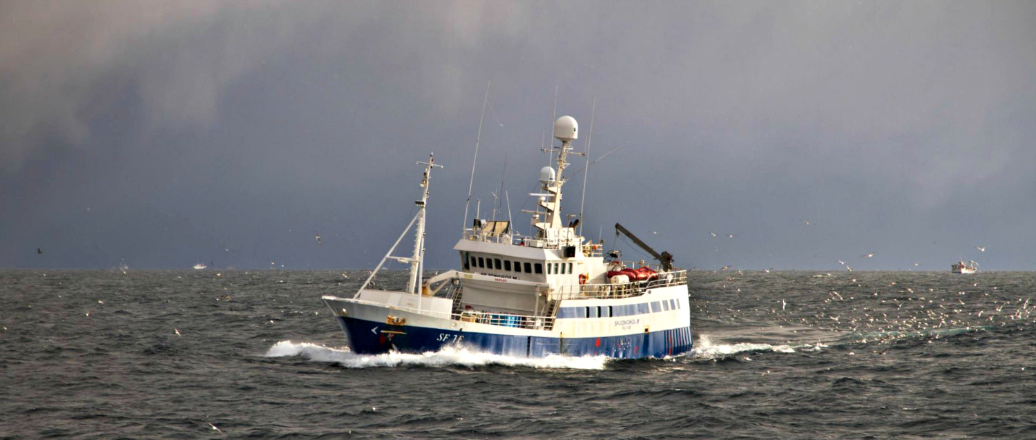 Skjongholm april 2012